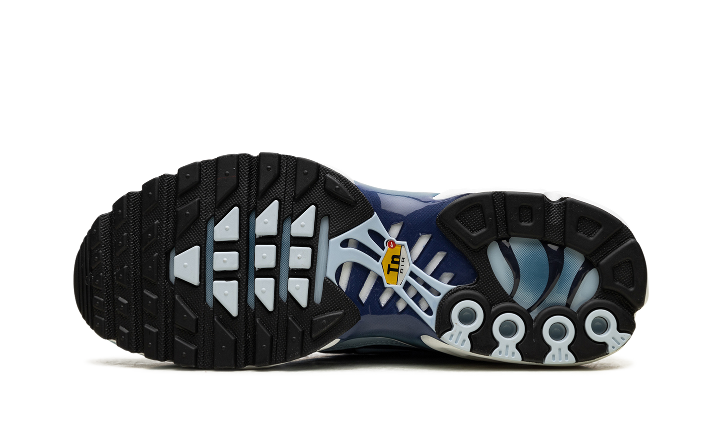Nike Air Max Plus Celestine Blue