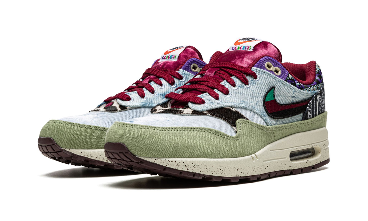 Nike Air Max 1 SP Concepts MelLow