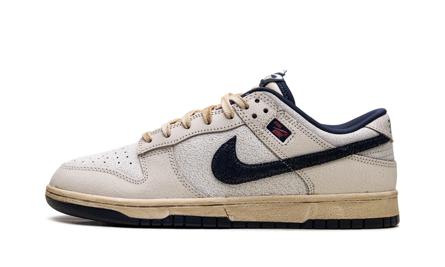 Nike Dunk Low Stranger Things Phantom
