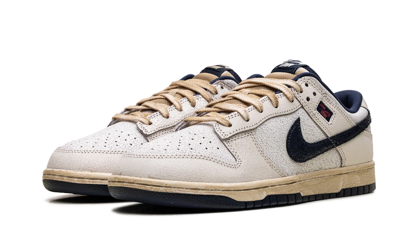 Nike Dunk Low Stranger Things Phantom