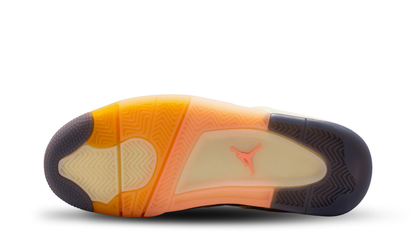 Air Jordan 4 Retro Birds of Paradise