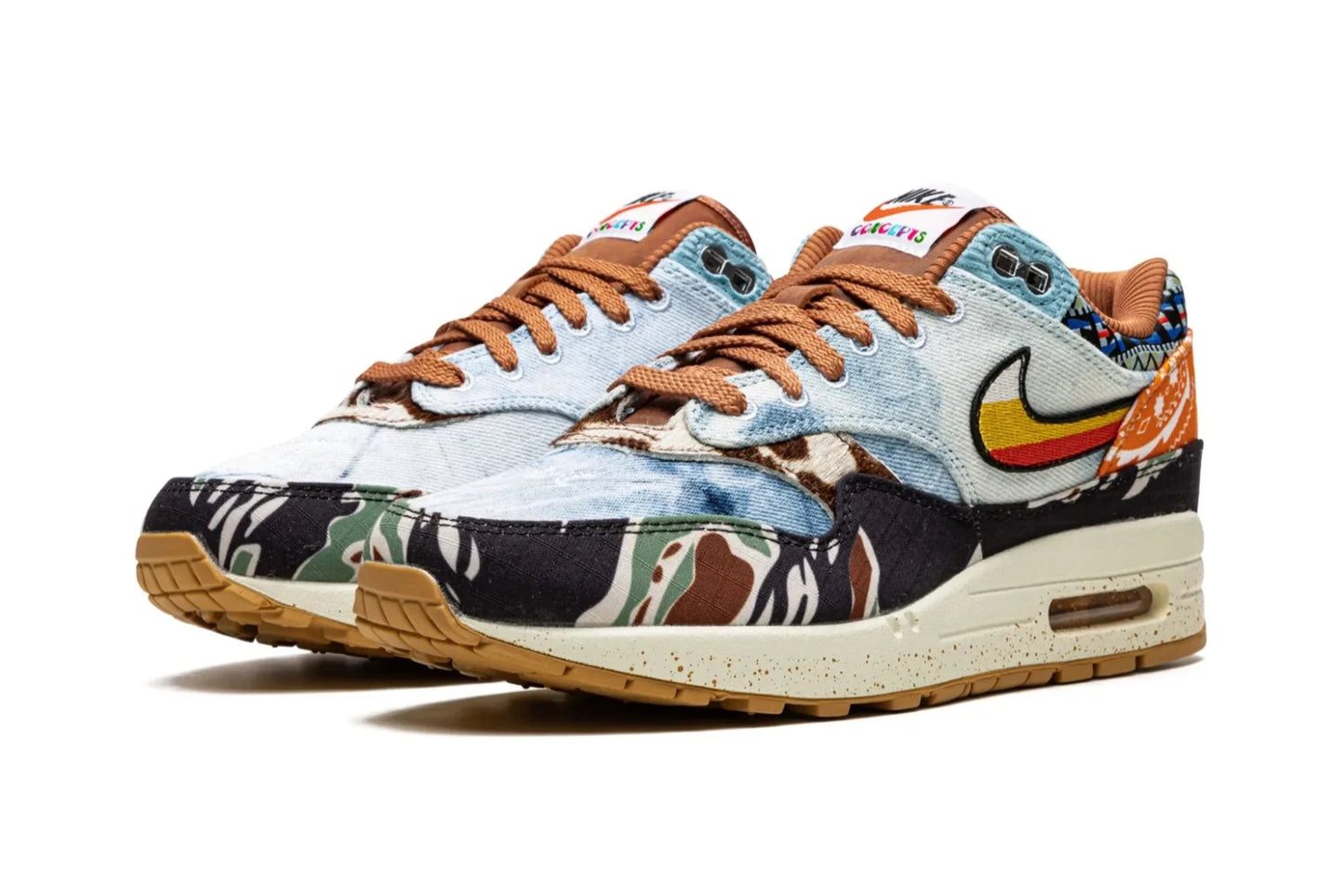 Nike Air Max 1 SP Concepts Heavy