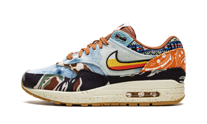 Nike Air Max 1 SP Concepts Heavy