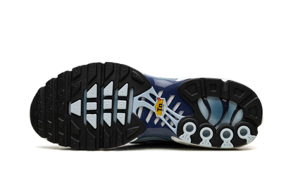 Nike Air Max Plus Celestine Blue