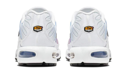Nike Air Max Plus Summer Gradient