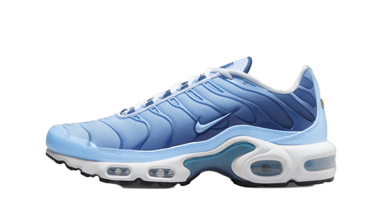 Nike Air Max Plus Celestine Blue