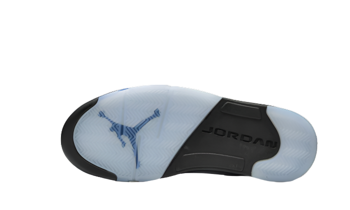 Air Jordan 5 UNC