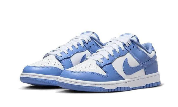 Nike Dunk Low Polar blue