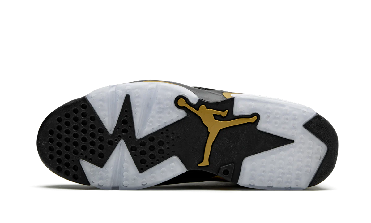 Jordan 6 Retro DMP (2020)