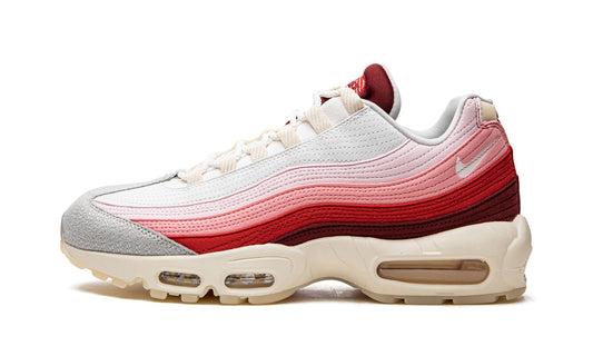 Nike Air Max 95 Anatomy of Air