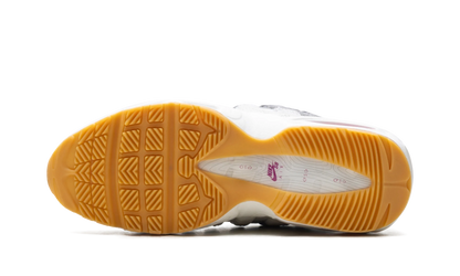 Nike Air Max 95 SB Cactus Flower