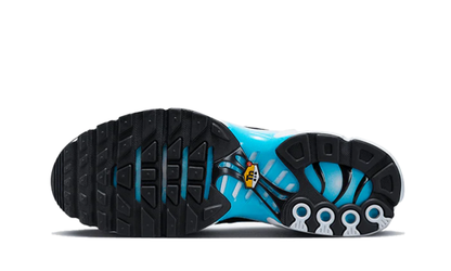 Nike Air Max Plus Baltic Blue