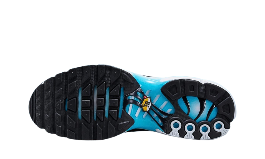 Nike Air Max Plus Baltic Blue