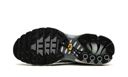Nike Air Max Plus Origins Waterway (Palm Green)