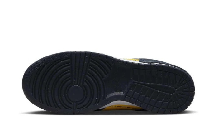 Nike Dunk Low Disrupt 2 Michigan